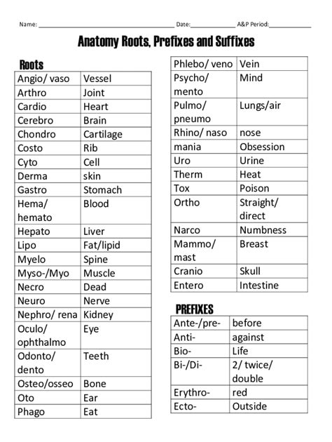 Anatomy Prefixes And Suffixes List - Fill Online, Printable, Fillable, Blank | pdfFiller