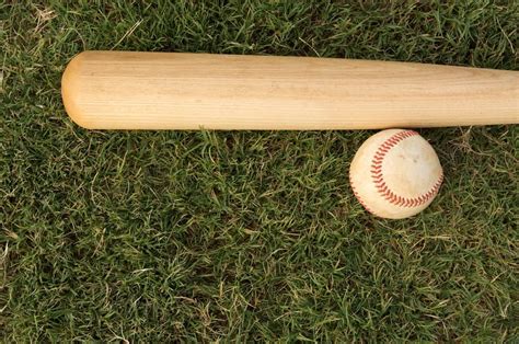 21 Types of Baseball Bats that Rip the Leather Off the Ball