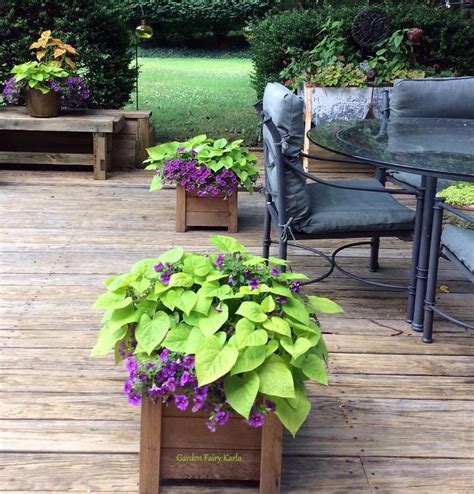 Beautiful wooden deck planters I planted in, are making a colorful twosome and trio (vintage ...