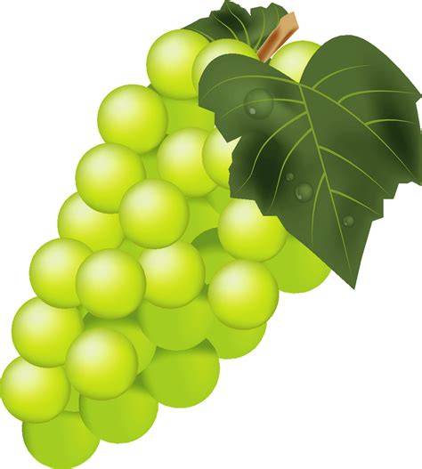 Grapes PNG Images Transparent Free Download | PNGMart.com