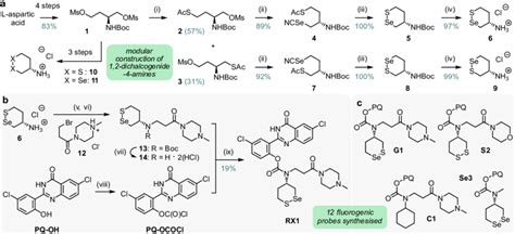 | Synthesis of triggers and probes. a, Divergent synthesis of... | Download Scientific Diagram