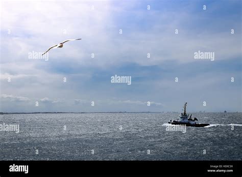 Sea view Vlissingen beach Stock Photo - Alamy