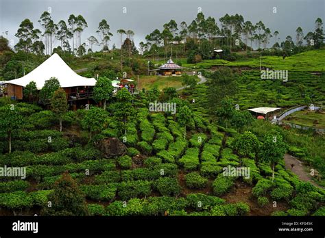 Glamping Lakeside, Rancabali, Ciwidey, Bandung, Indonesia Stock Photo - Alamy