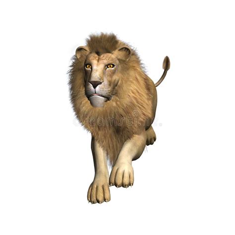 Jumping Lion Stock Photo - Image: 31723640