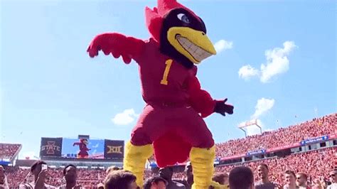 Iowa State Celebration GIF by CyclonesTV - Find & Share on GIPHY