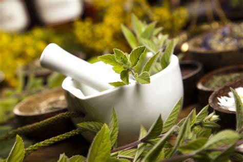 10 Herbs That Help Boost Immunity: Current Studies