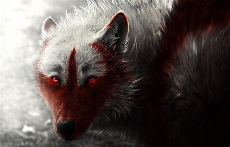 Cool Wolf Eye Wallpapers - Top Free Cool Wolf Eye Backgrounds - WallpaperAccess