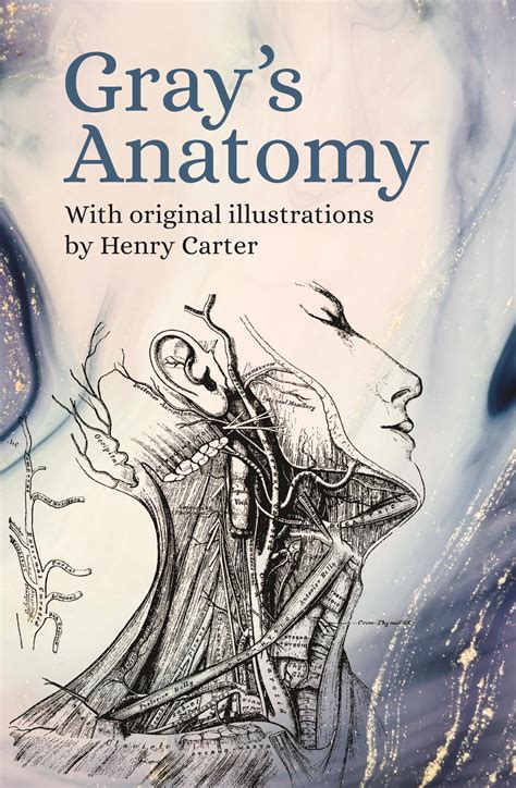 Gray's Anatomy : With Original Illustrations by Henry Carter (Paperback) - Walmart.com - Walmart.com