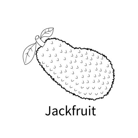 Easy Fruits Coloring Pages for kids and toddler jackfruit 9098722 ...