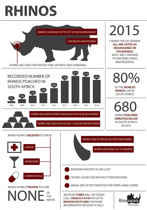 Rhino Poaching INFOGRAPHIC on Behance