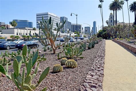 Historic Cactus Garden Review - Grading Gardens