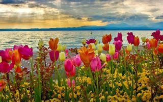 PC Wallpaper Spring Nature | 2021 Cute Wallpapers