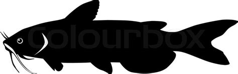 Silhouette of catfish | Stock vector | Colourbox