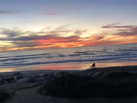 Free picture: sunset, beach grass, beachfront, coast, beach, clouds ...