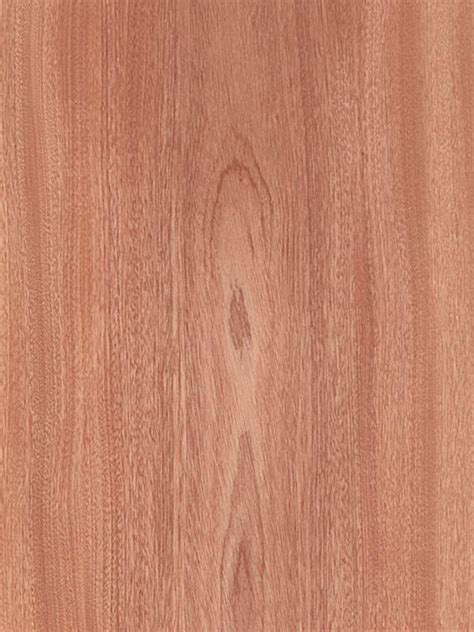 SAPELE WOOD VENEER | Dooge Veneers