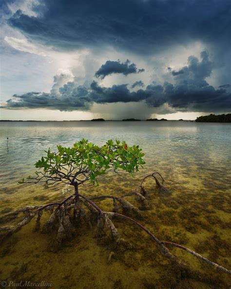 Storm off Summerland Key | Summerland Key, Florida Keys, FL | Florida ...