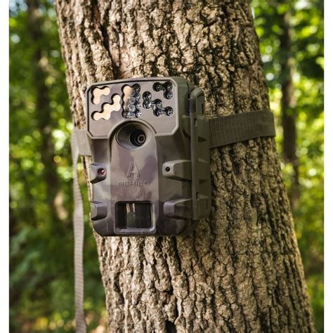 Moultrie W800 Infrared Hunting Trail Camera, 26 Megapixels - Walmart.com - Walmart.com