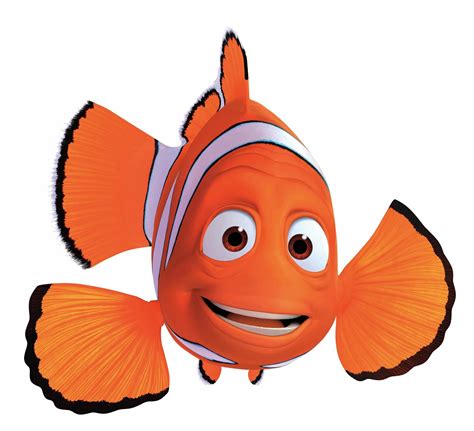 √ Findet Nemo Fische Namen | Fischlexikon