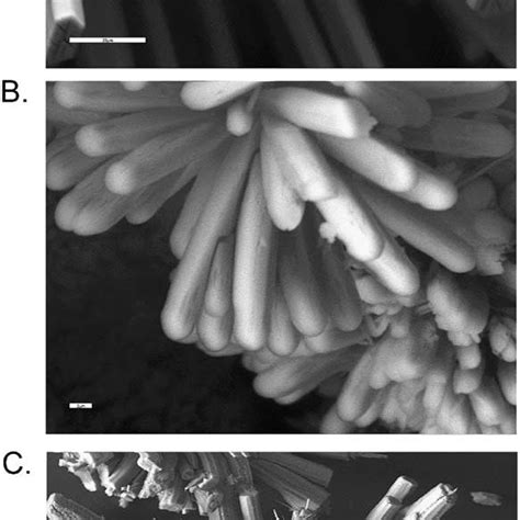 Crystal structure of ettringite. (A) Structure of ettringite column,... | Download Scientific ...