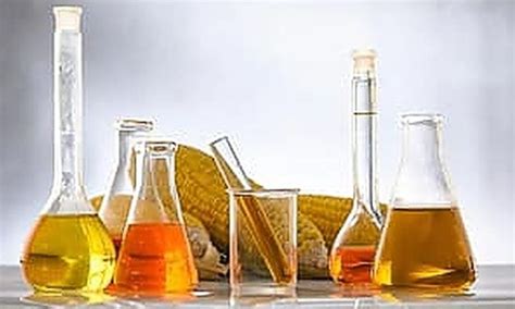 Learn Food Chemistry & Conduct Experiments With Tasty Results - Flex Course | Small Online Class ...