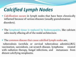 Soft tissue calcification of head and neck | PPT