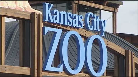 KC Zoo uses stem cells to prevent disease in older animals