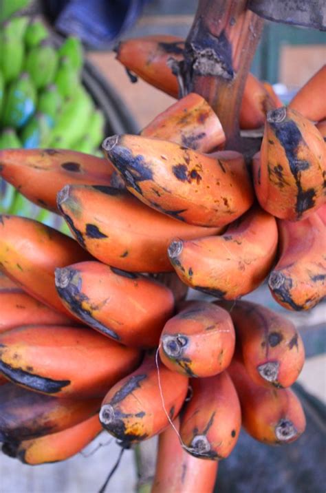 RED bananas at the Mombasa Spice Market! Kenia | バナナ