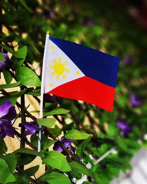 Philippine Flag 5.5 X 8.2 X 11.8 Inches Hand Flag - Etsy