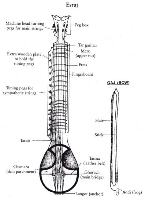 Dilruba / Esraj - India Instruments