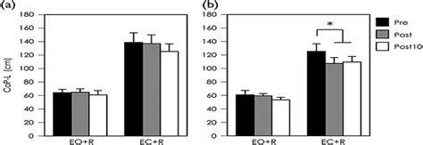 Effect of gaze-stabilization exercises on vestibular functio... : NeuroReport