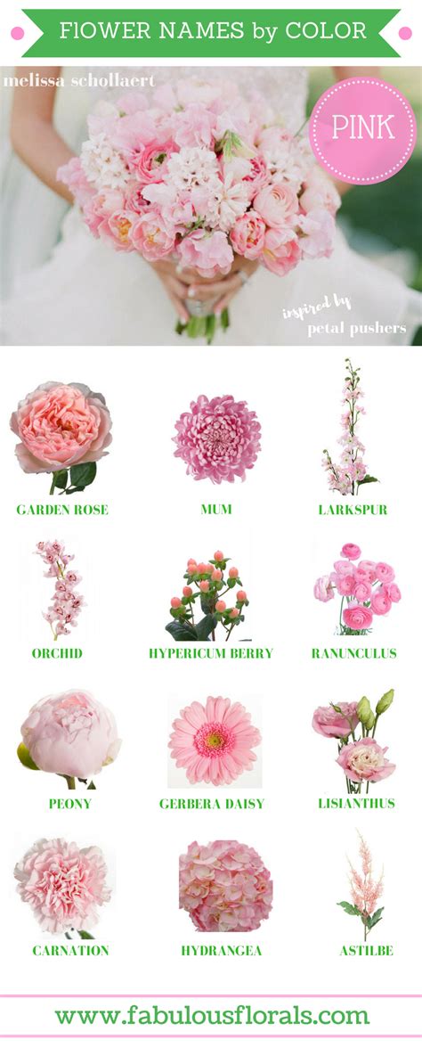 Types Of Pink Flowers With Names - Printable Templates Protal