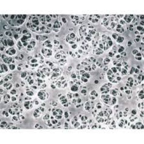 Coated Cellulose Acetate Membrane Filters - Labor İldam