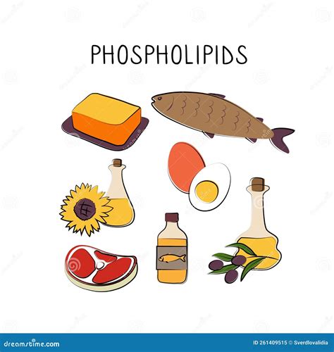 Phospholipids-containing Food. Groups of Healthy Products Containing ...