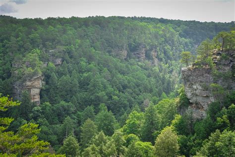 How to Find The Best Fall Creek Falls Hiking Trails