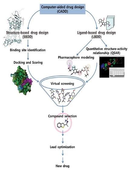 Computer Aided Drug Design (CADD)