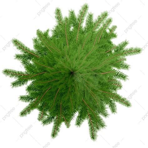 Plants Top View PNG Image, Plant Top View Transparent, Plant Top Png, Toon Nature Items, Top ...