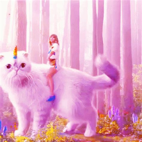 Rainbow Unicorn GIF - Rainbow Unicorn Caticorn - Discover & Share GIFs