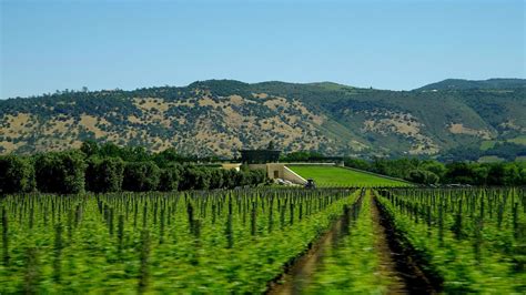 Napa Valley Wine Tour From San Francisco - Tour Choices