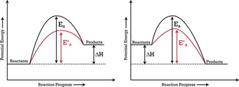 Catalysts | Chemistry for Non-Majors