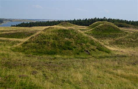 Ancient burial mounds in the Danish countryside | Wild About Denmark