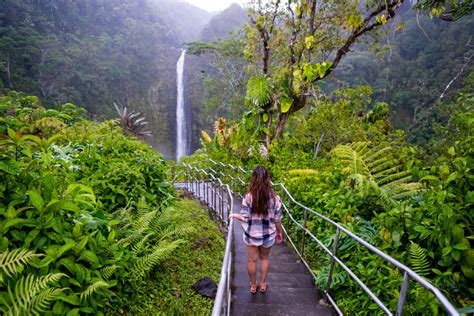 Akaka Falls Hike, the most beautiful waterfalls on Big Island, HI ...