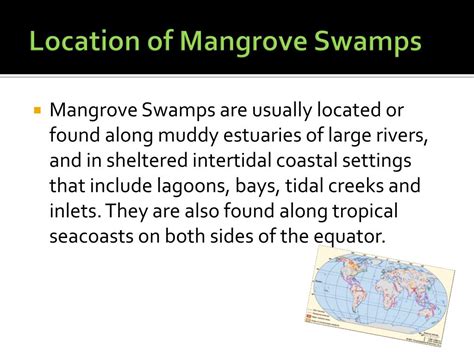 PPT - Mangrove Swamps PowerPoint Presentation, free download - ID:2367058