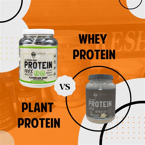 Whey Protein vs Plant Protein