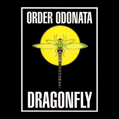 Order Odonata Vol. 1 – CD (Compilation), 1994 [r50425] | Discogs