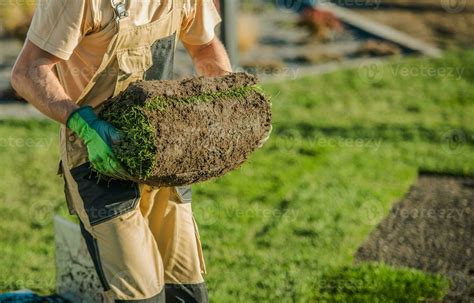 Installation Of Natural Grass Turf Rolls. 24636204 Stock Photo at Vecteezy