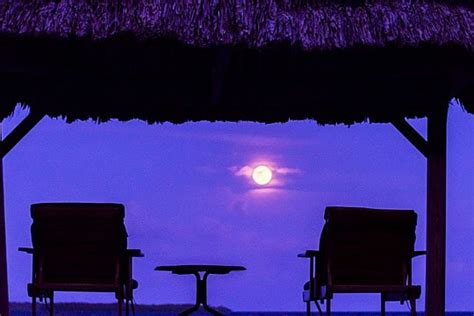 Silhouette Of Chair And Table With Moon Glowing In The Sky Photo ...