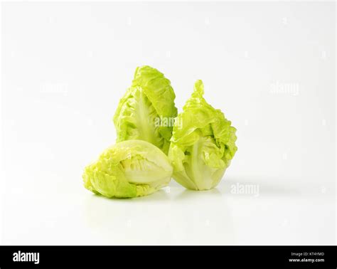 little gem lettuce Stock Photo - Alamy