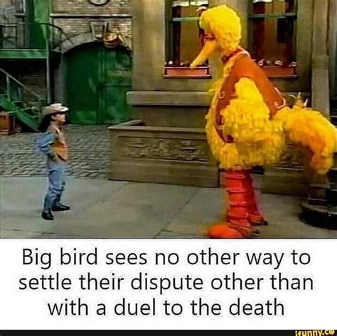 Funny Big Bird Memes | Funny Memes Fun