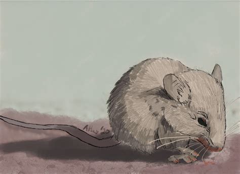 Rat Catcher by Hyper-Aggie42 on DeviantArt