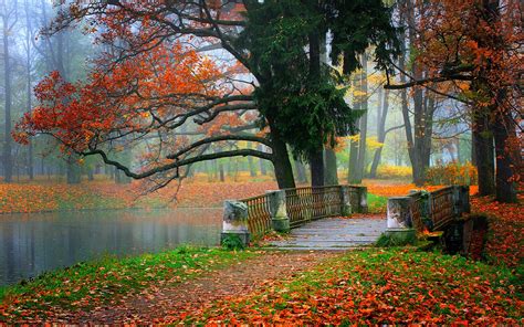 Park scenery, river, water, forest, trees, leaves, colorful, autumn ...
